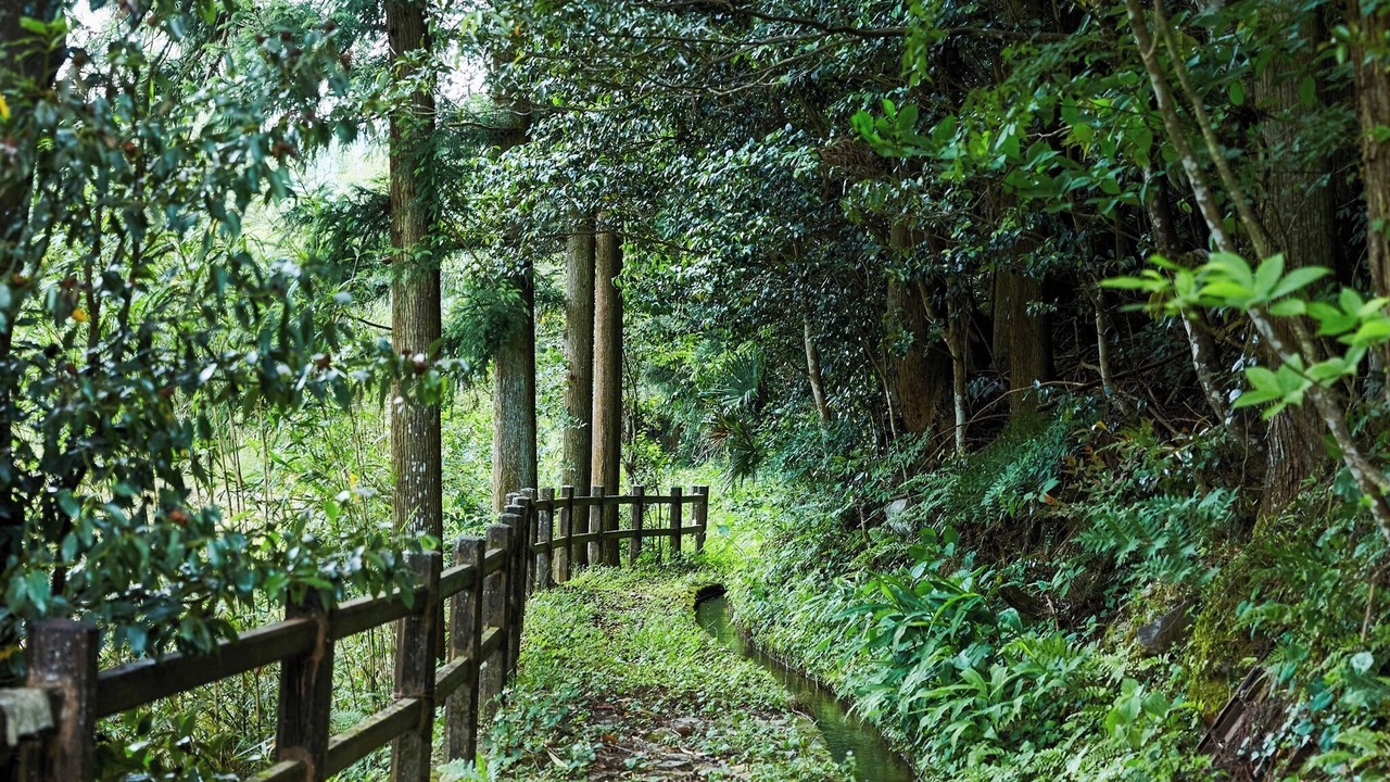 Photo of Others in Yusuhara-cho