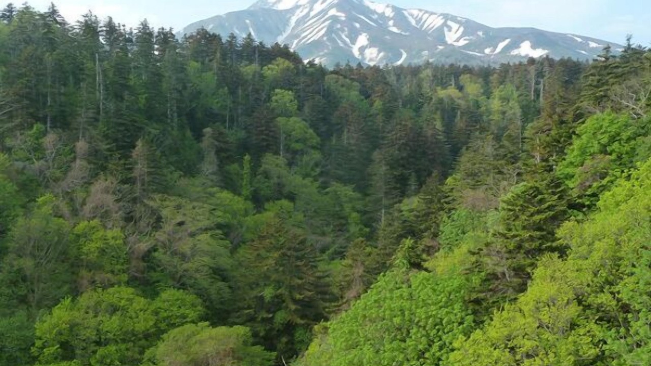 Photo of Others in Rishirifuji-cho