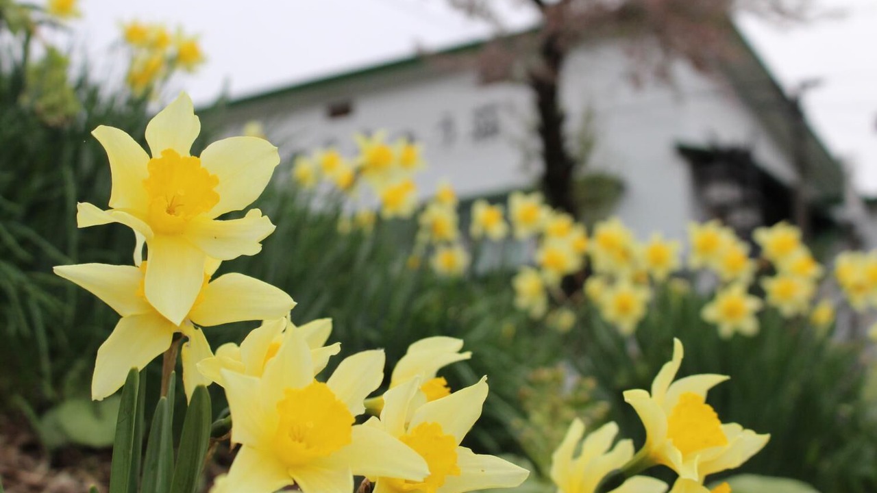 Photo of Outdoor in Kitaazumi-gun