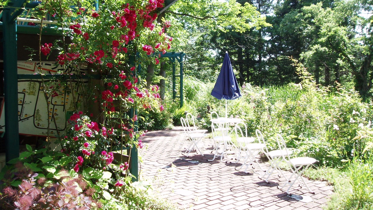 Photo of Outdoor in Myoko