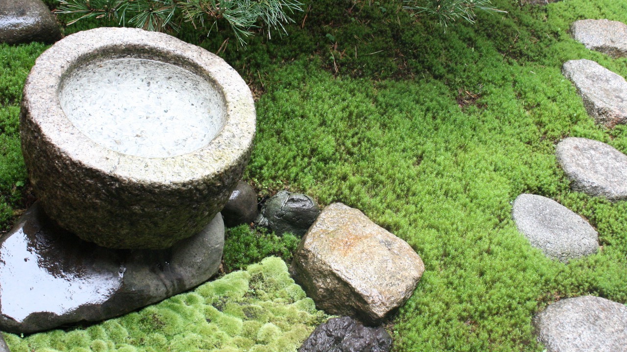 Photo of Bathroom in Shimogyo