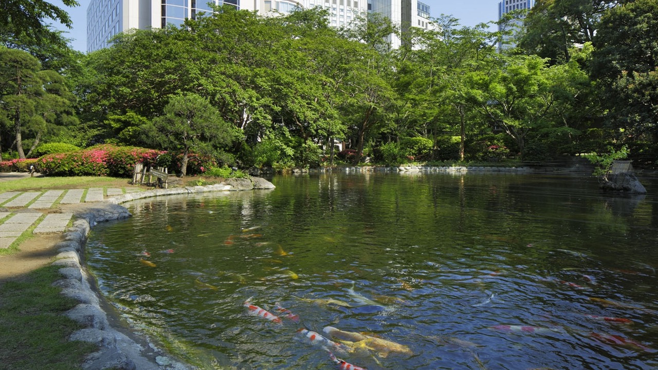 Photo of Outdoor in Takanawa