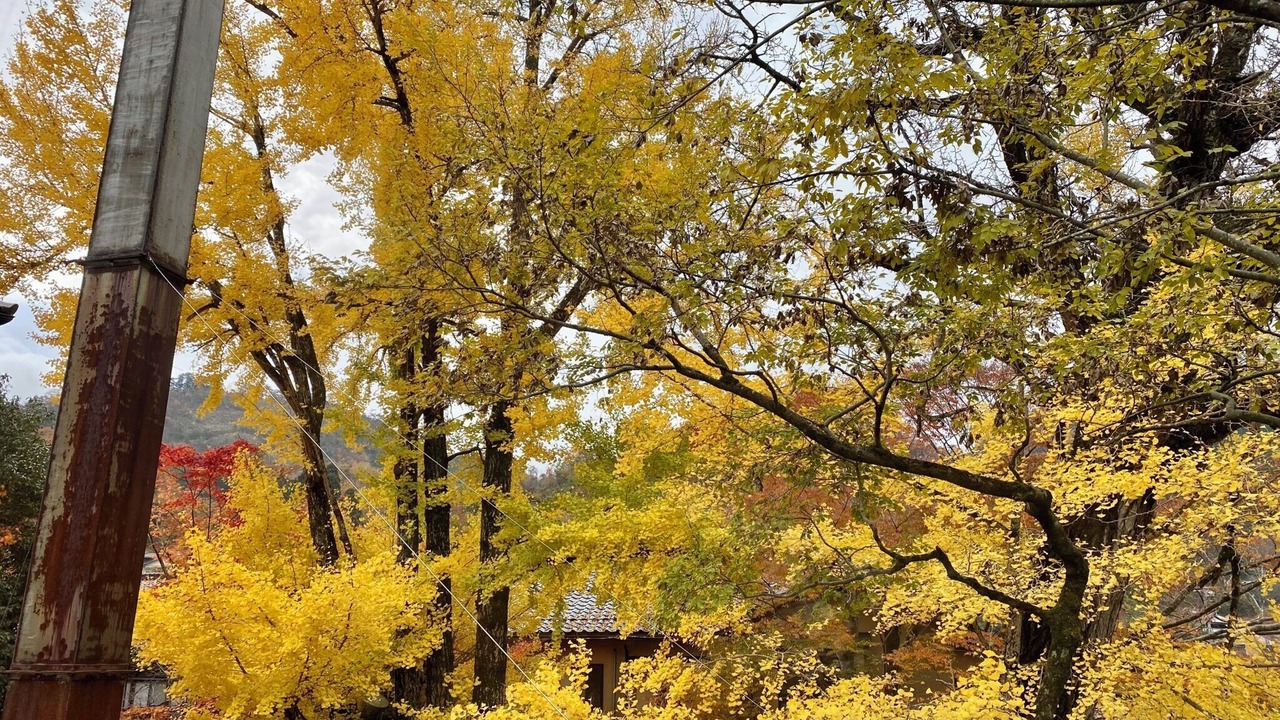 Photo of Outdoor in Kagamino
