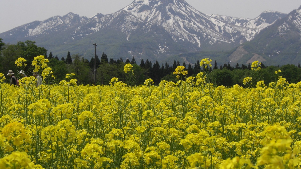 Photo of Outdoor in Myoko