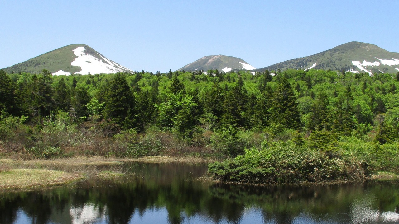 Photo of Others in Aomori