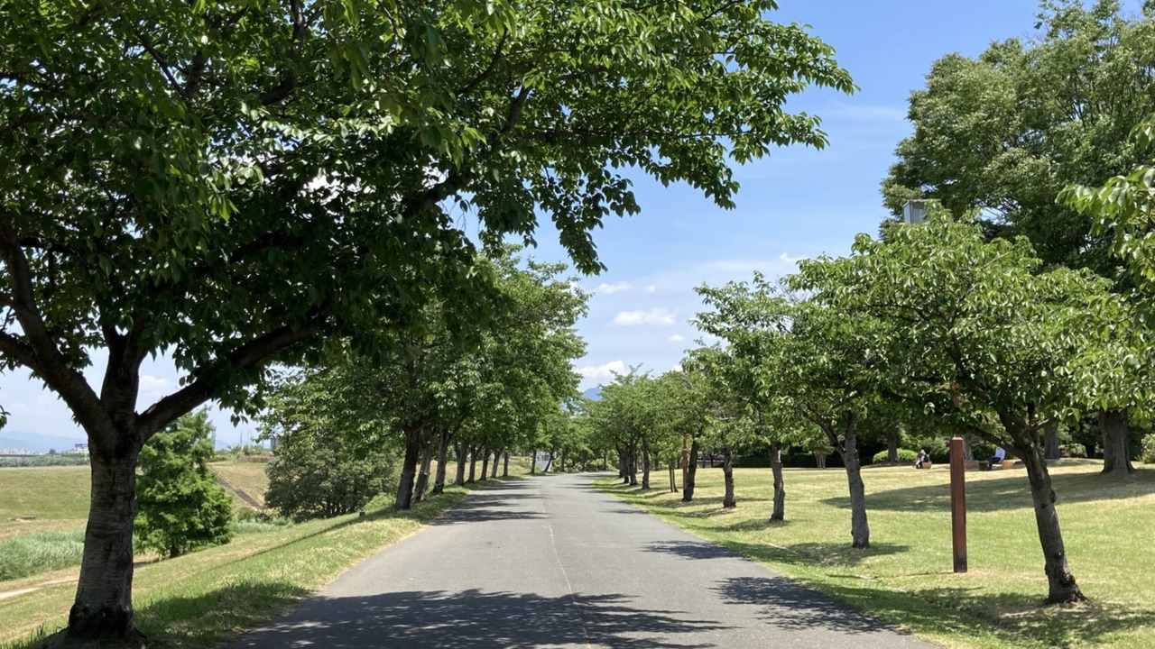 Photo of Others in Kurume
