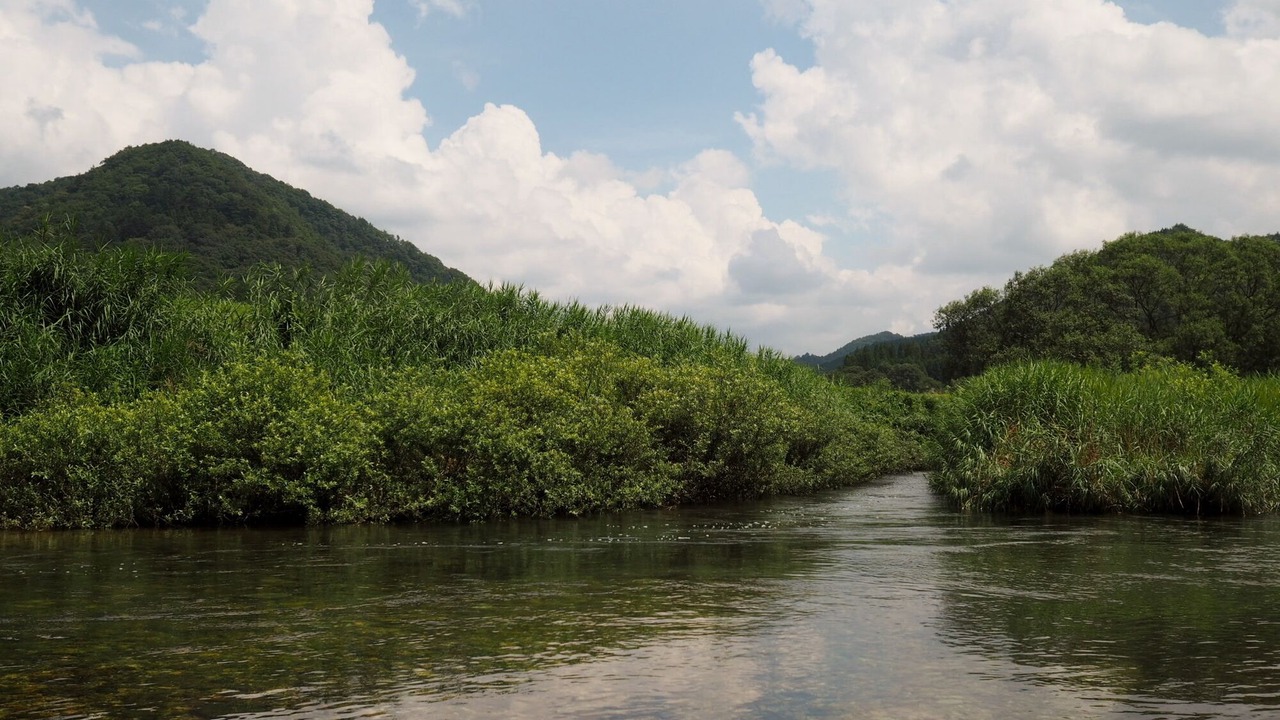 Photo of Others in Shobara