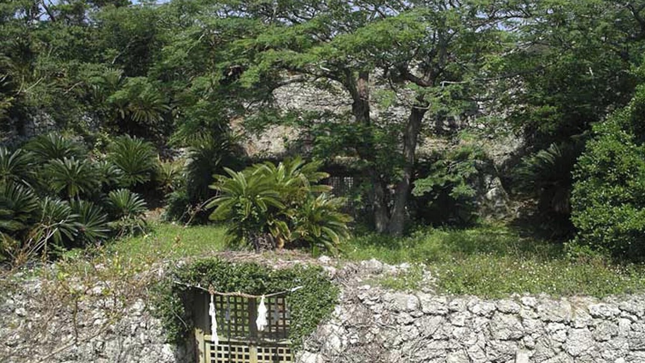 Photo of Outdoor in Wadomari