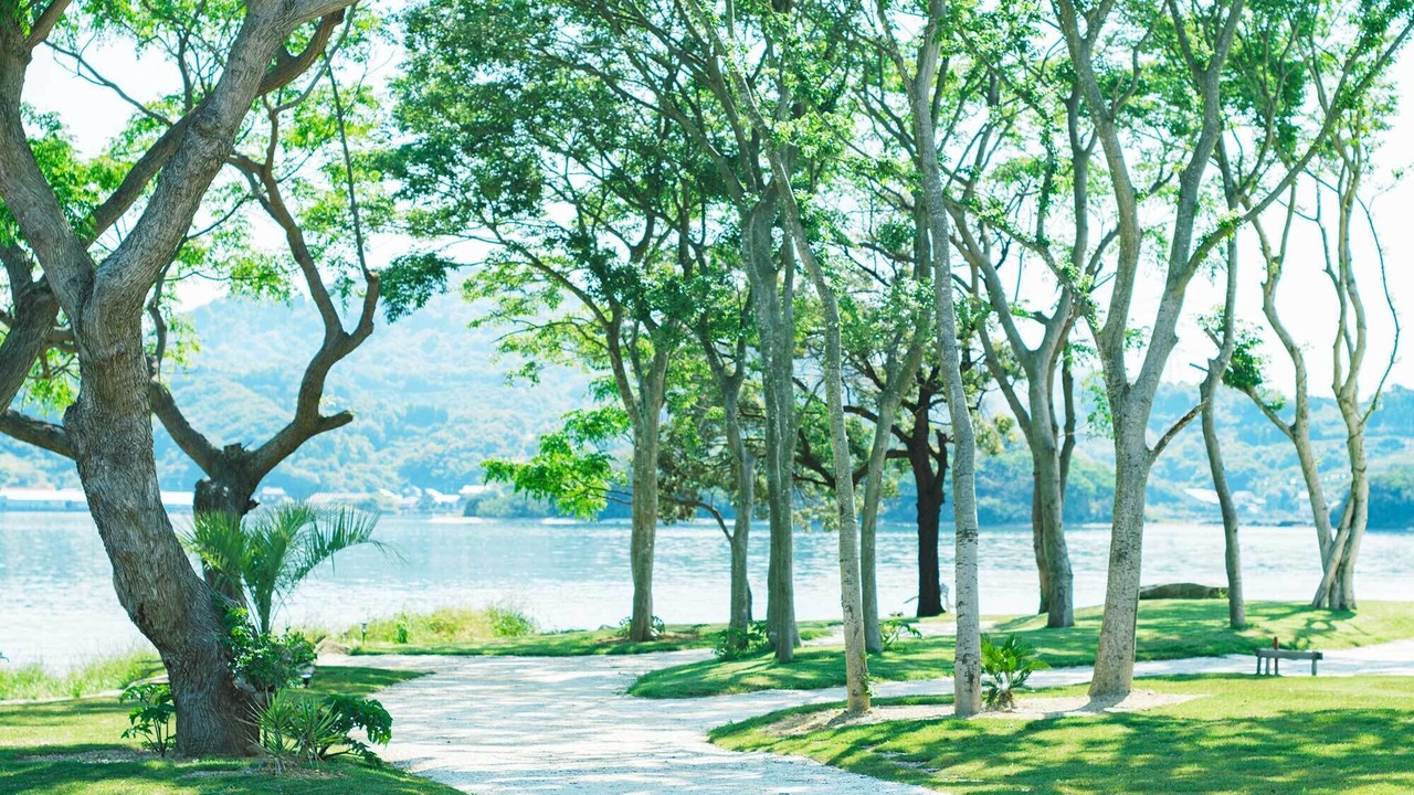 Photo of Outdoor in Kamiamakusa