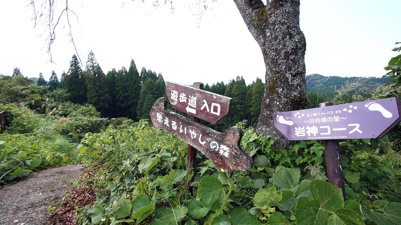 Photo of Outdoor in Gokase