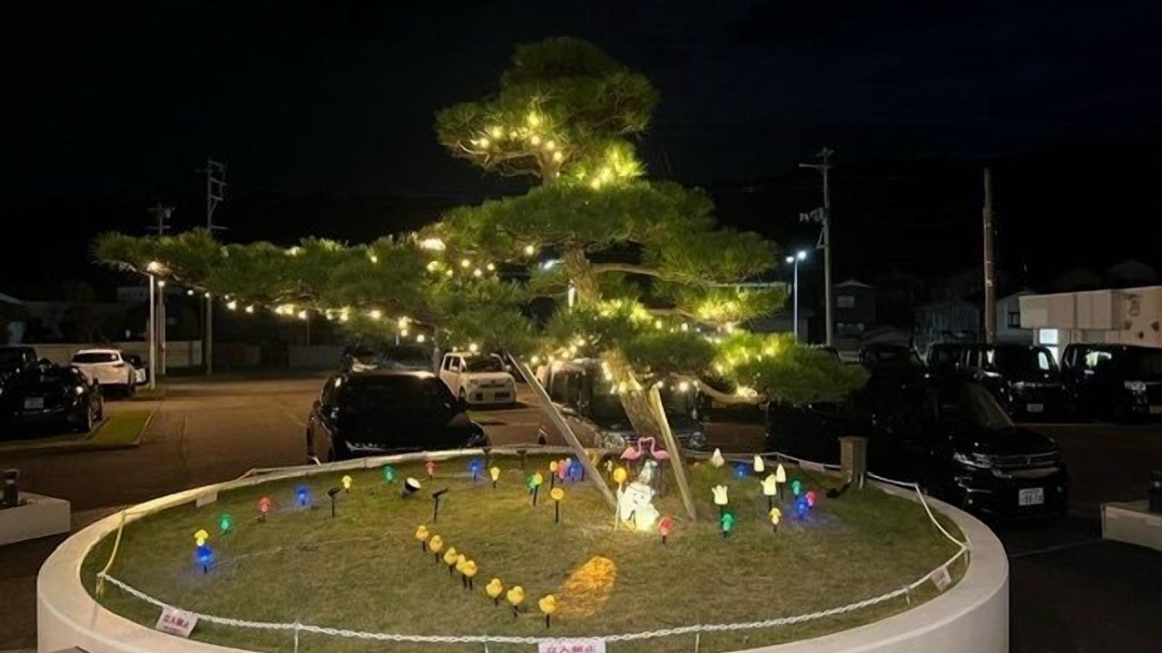 Photo of Others in Nagaoka