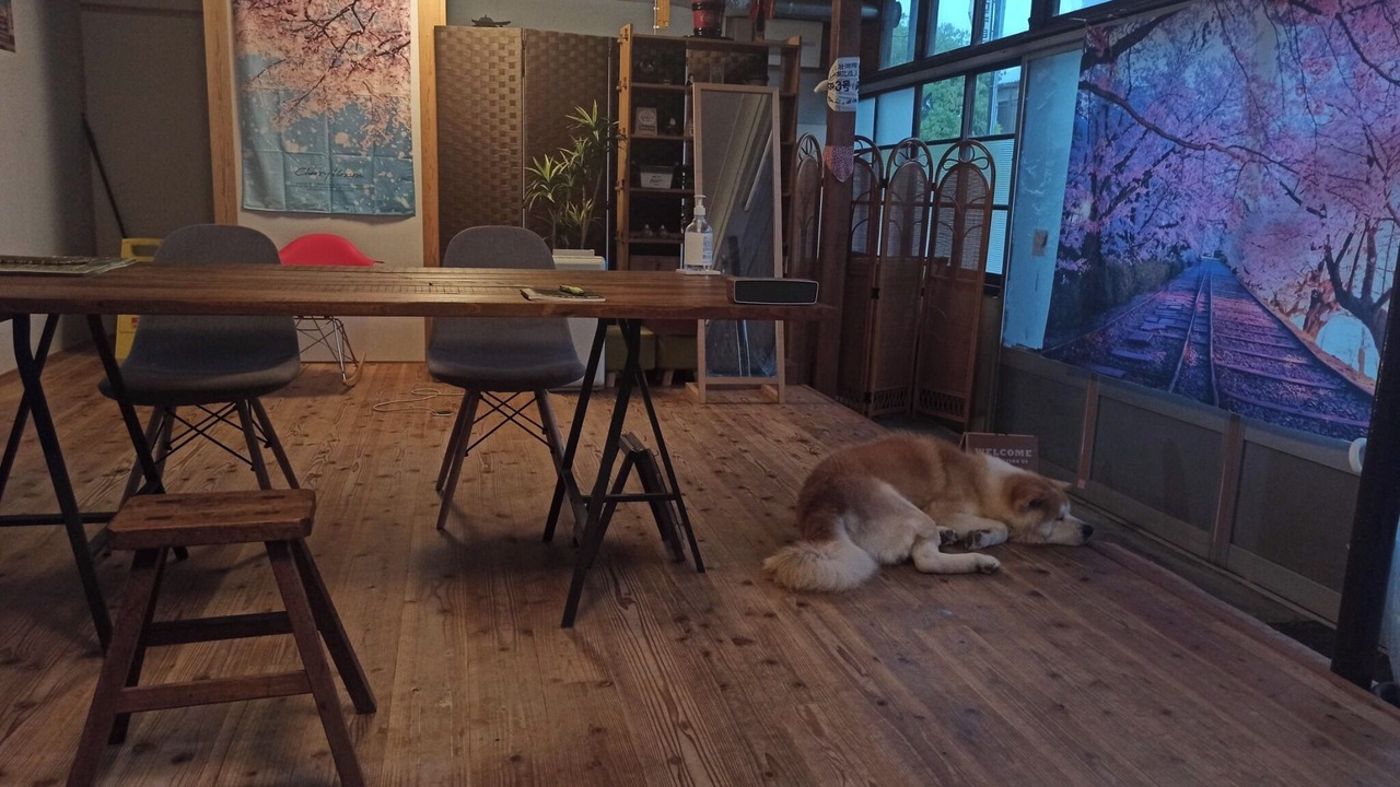 Photo of Others in Ozu