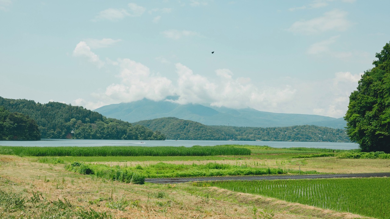 Photo of Others in Shinano