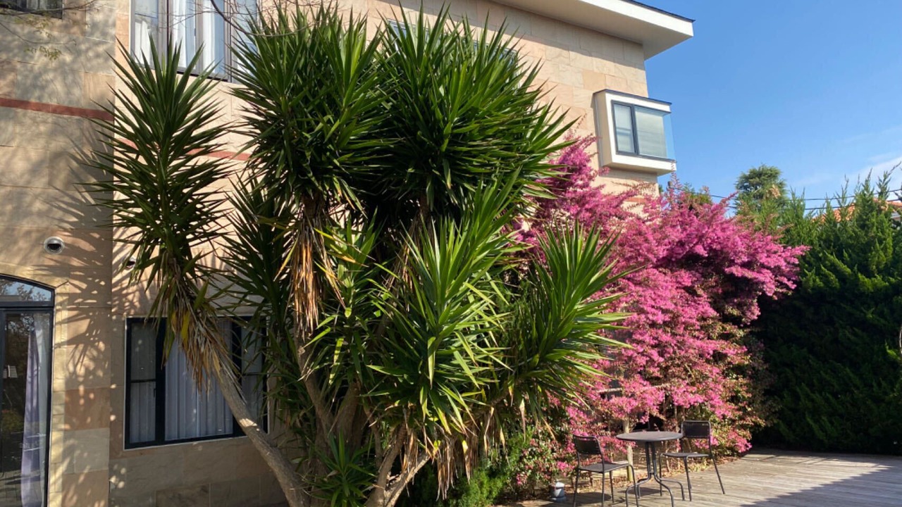 Photo of Outdoor in Yawatano