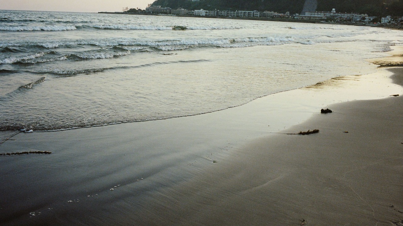 Photo of Others in Kamakura