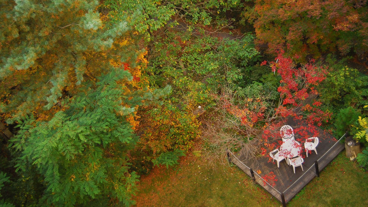 Photo of Outdoor in Obihiro