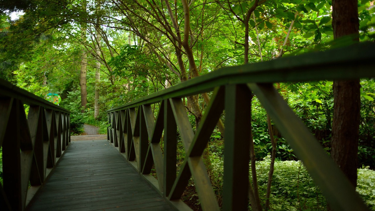 Photo of Outdoor in Obihiro
