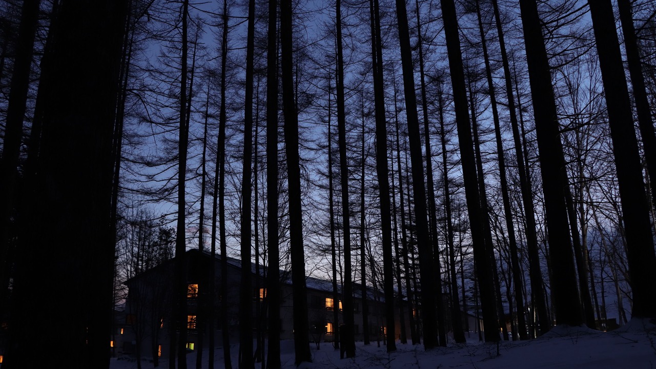 Photo of Outdoor in Furu-gun