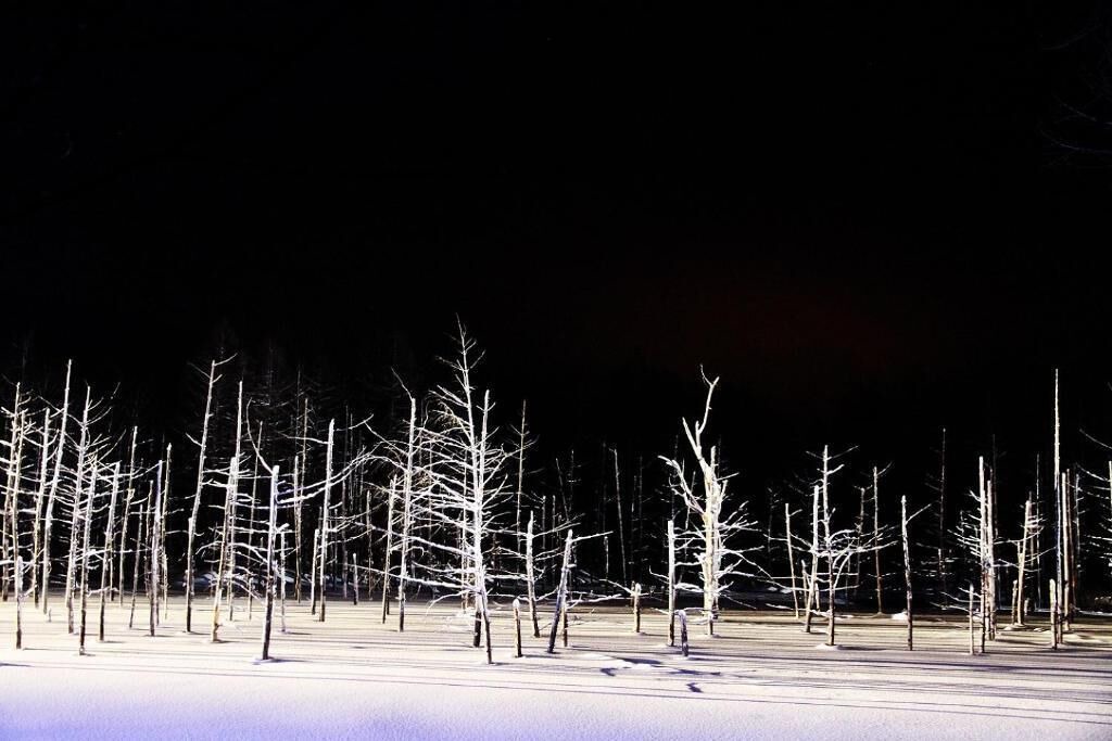 Photo of Others in Asahikawa