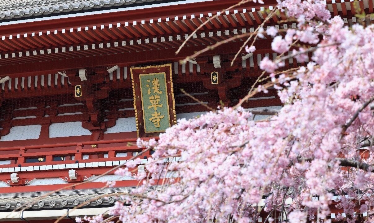 Photo of Others in Nishiasakusa