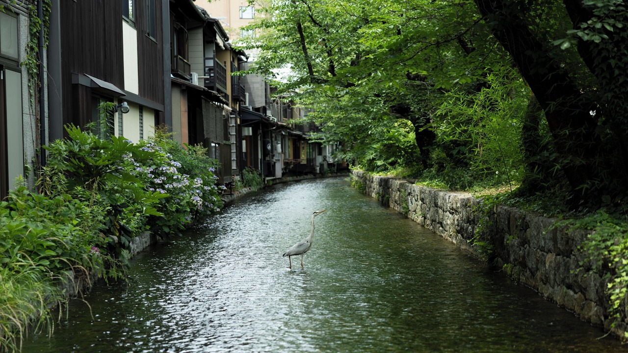 Photo of Others in Karasuma