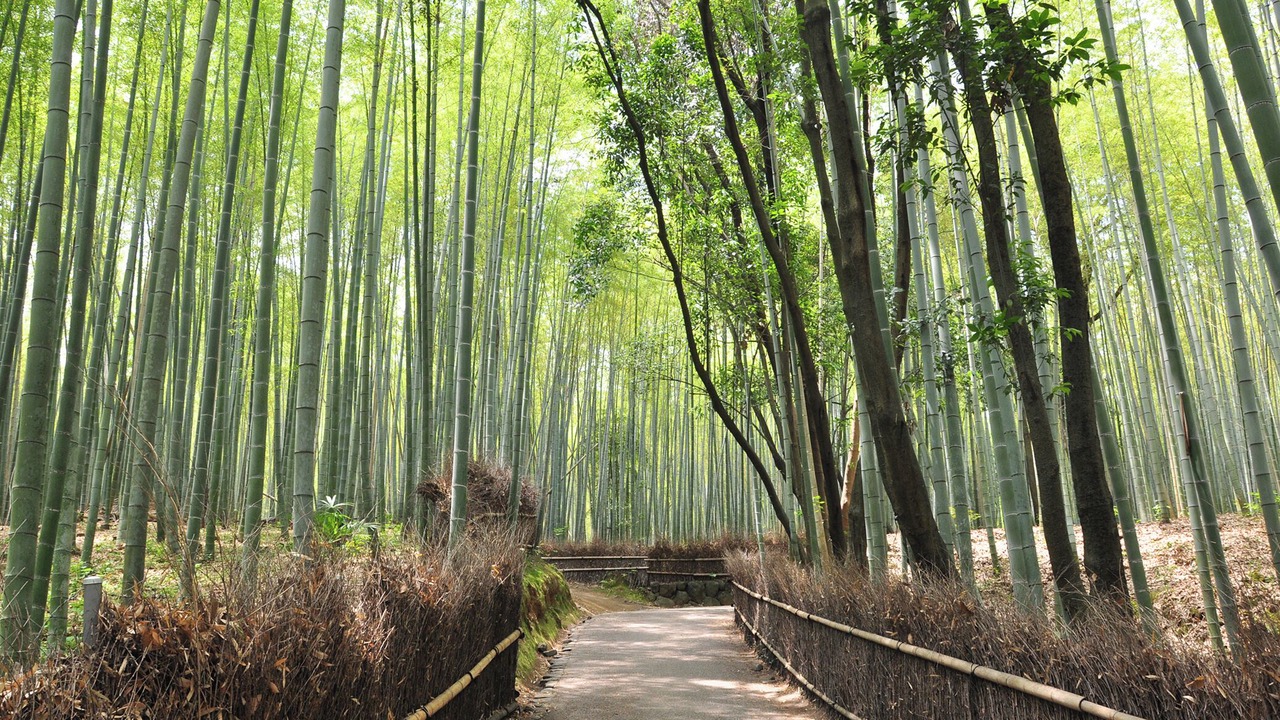 Photo of Others in Karasuma