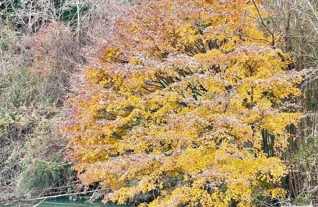 Photo of Outdoor in Isumi-gun