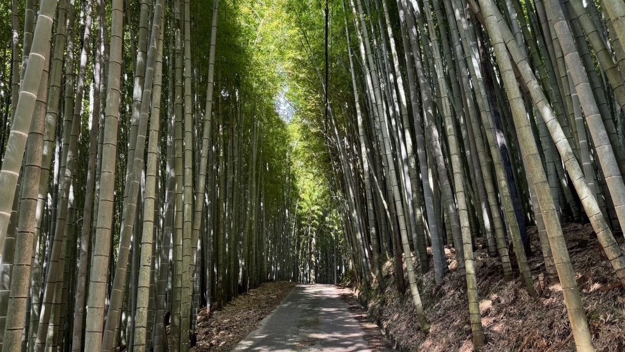 Photo of Outdoor in Katsuura