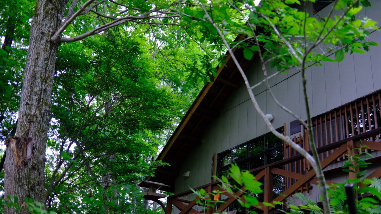 Photo of Outdoor in Otari-mura