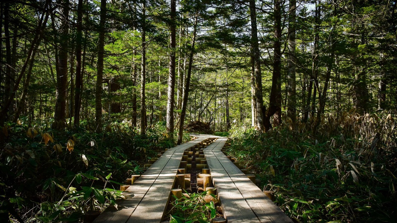 Photo of Others in Otari-mura