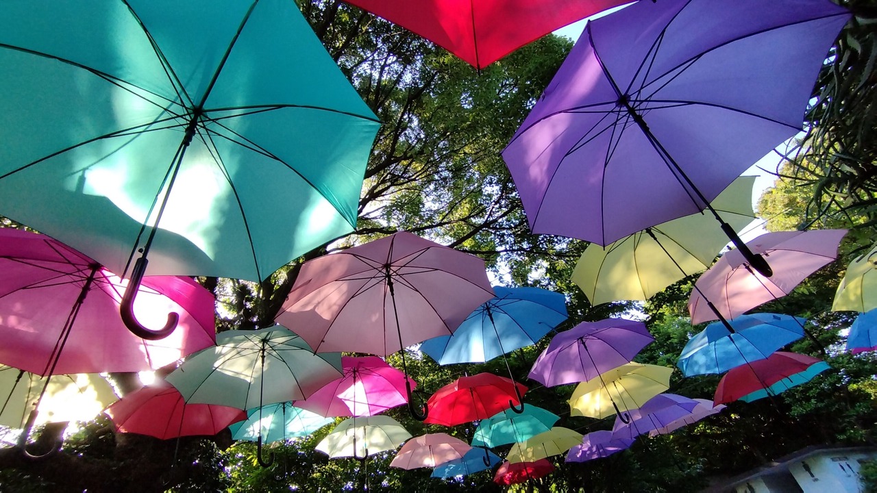 Photo of Outdoor in Futo