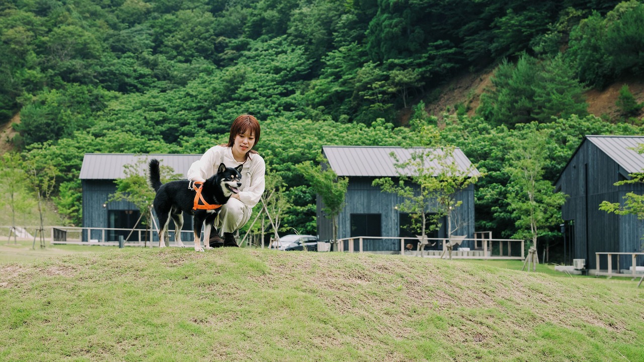 Photo of Others in Wakasa