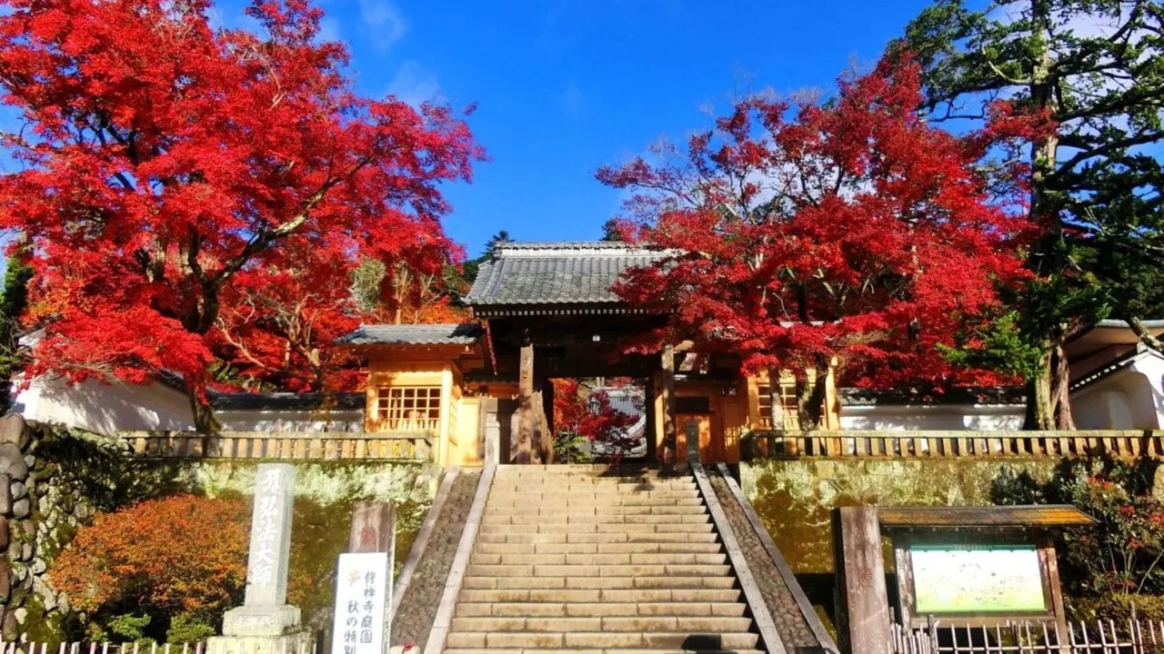 Photo of Others in Shuzenji