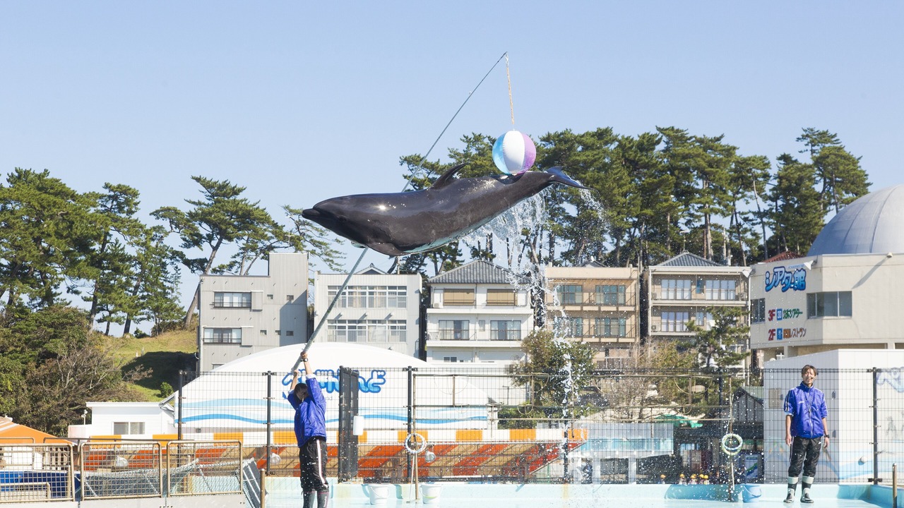 Photo of Others in Sakai