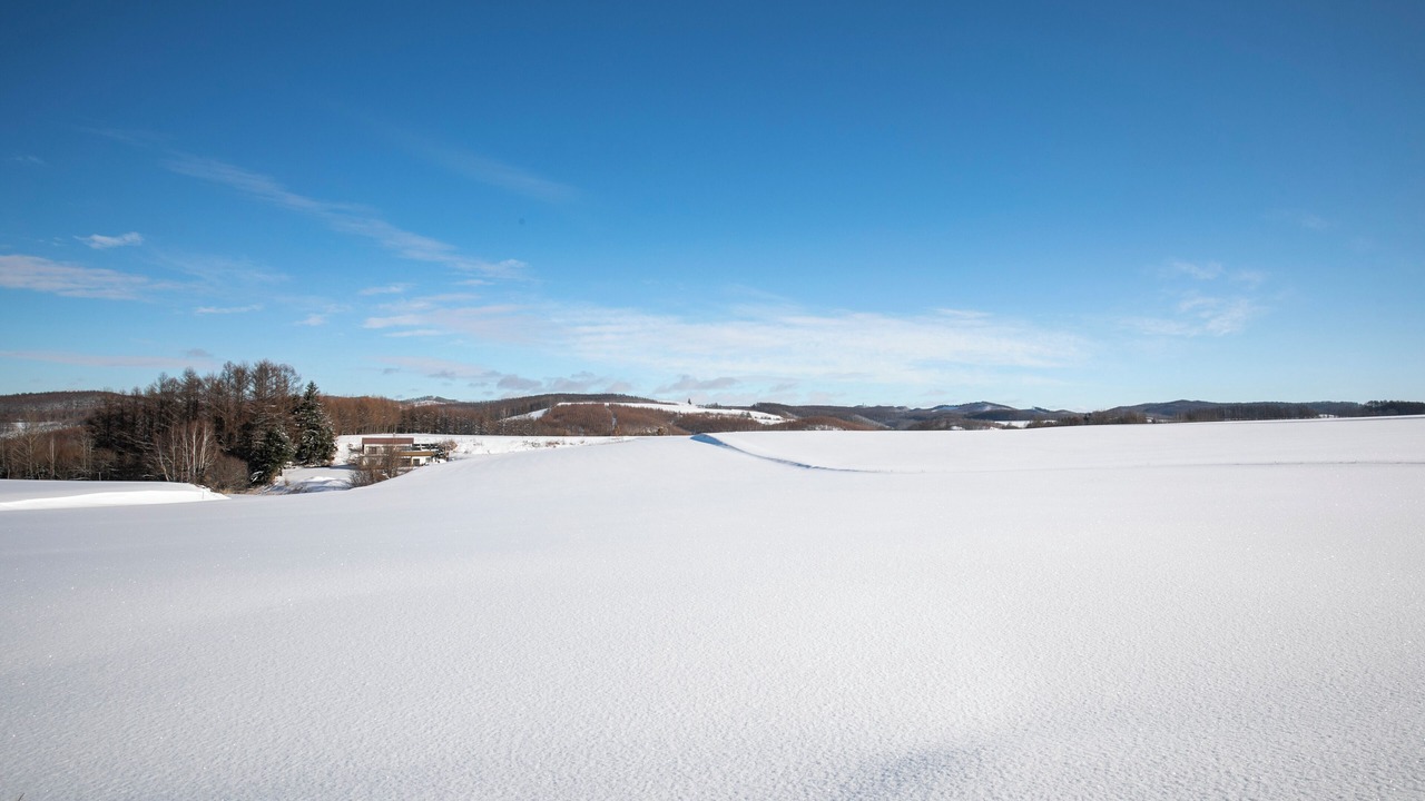 Photo of Outdoor in Hiushinai