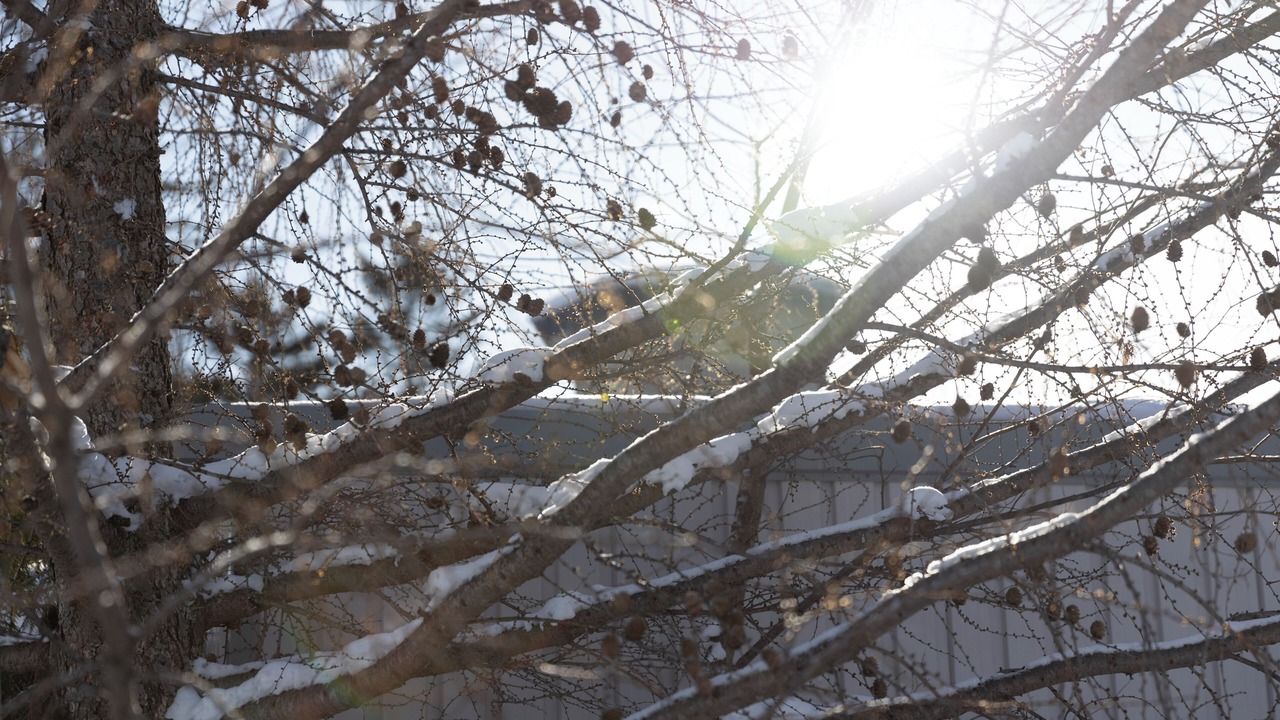Photo of Outdoor in Hiushinai