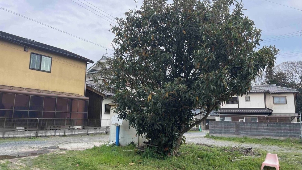 Photo of Outdoor in Koka