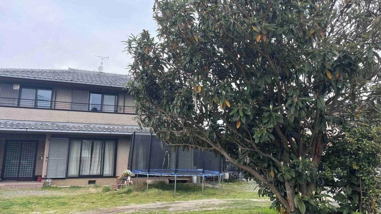 Photo of Outdoor in Koka