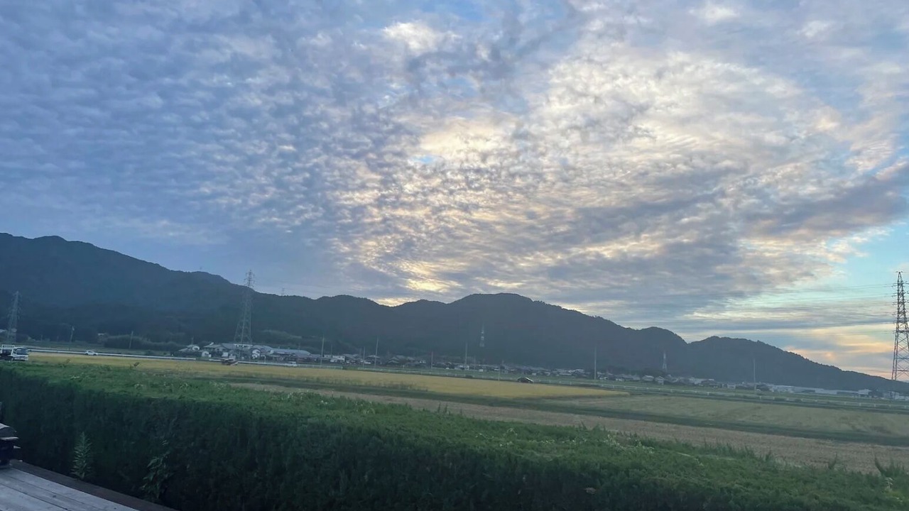 Photo of Outdoor in Koka