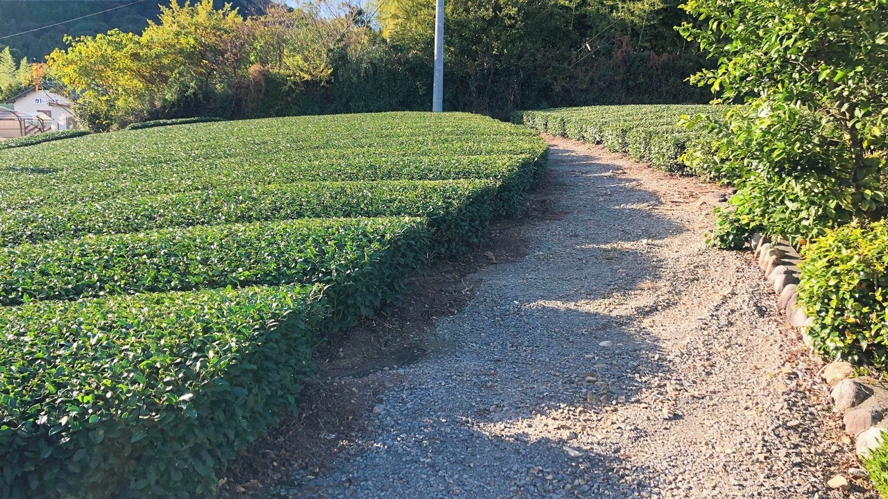 Photo of Outdoor in Shimada