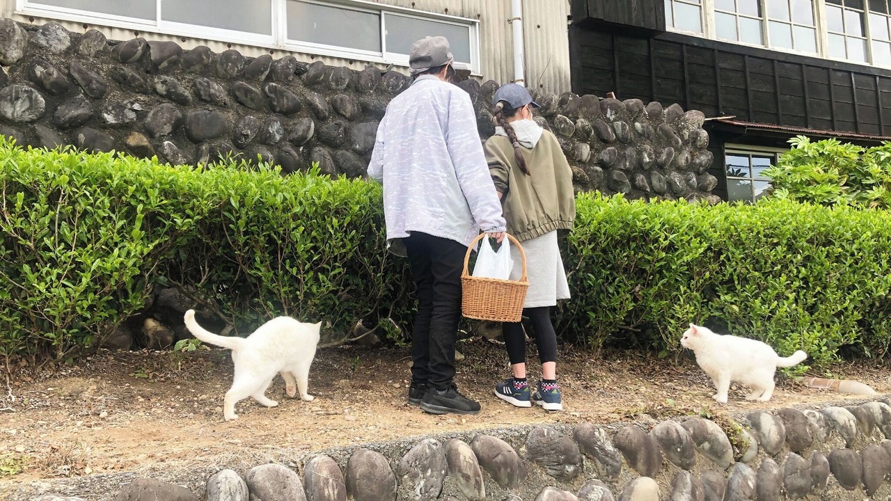 Photo of Outdoor in Shimada