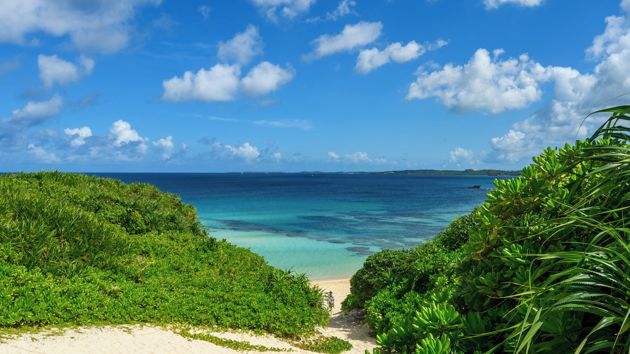 Photo of Others in Miyakojima