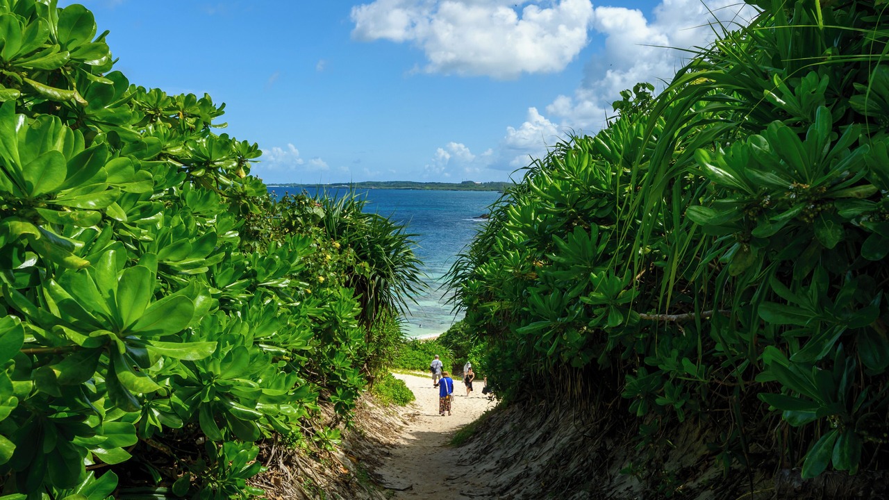 Photo of Others in Miyakojima