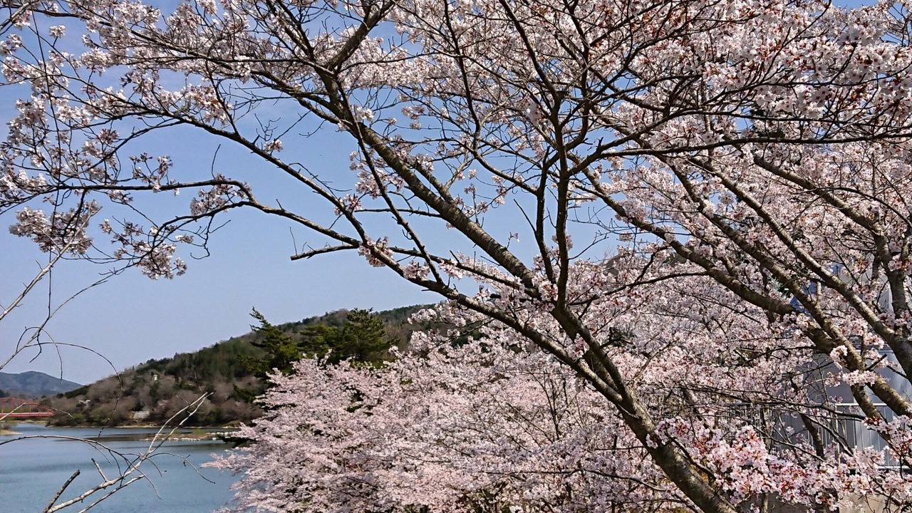 Photo of Others in Mihara