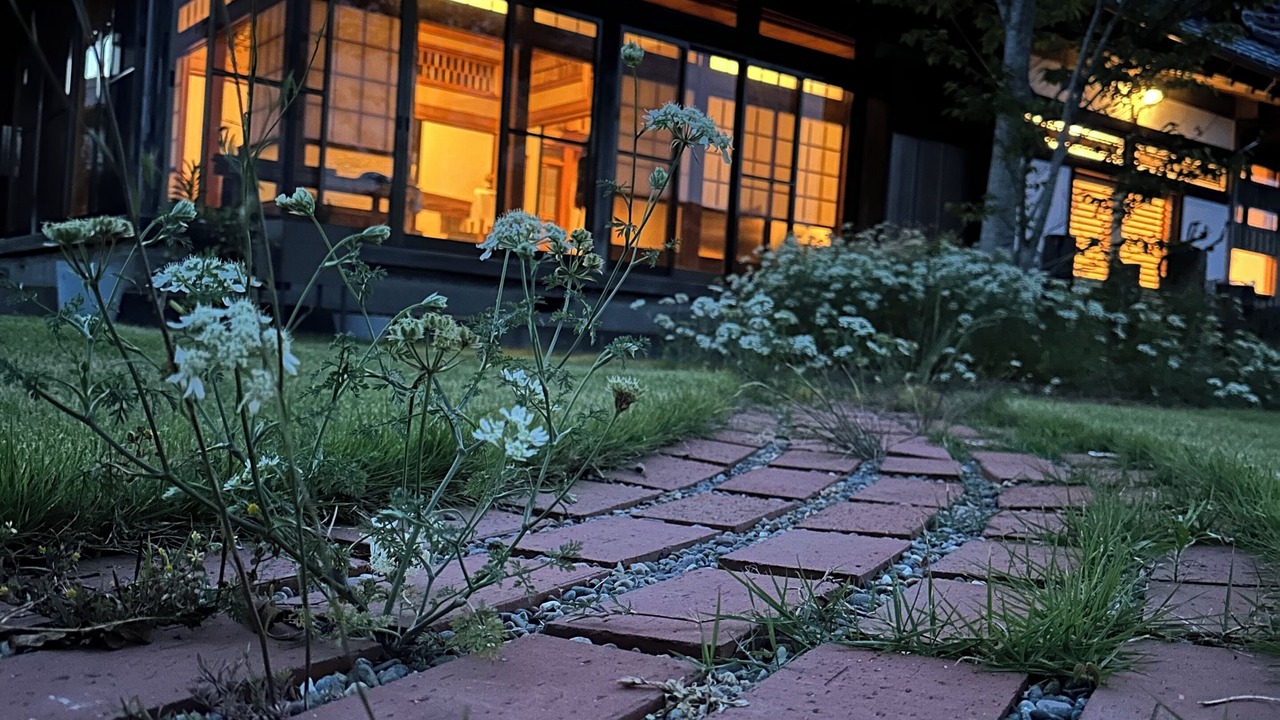 Photo of Outdoor in Shirako