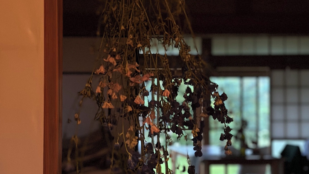 Photo of Others in Shirako