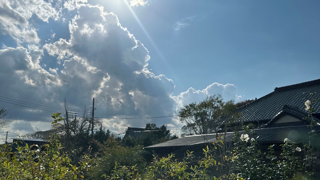 Photo of Others in Shirako