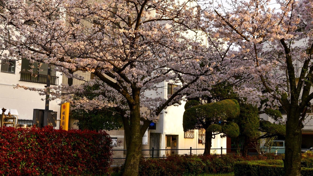 Photo of Outdoor in Matsuyama