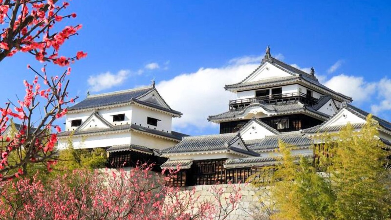 Photo of Outdoor in Matsuyama