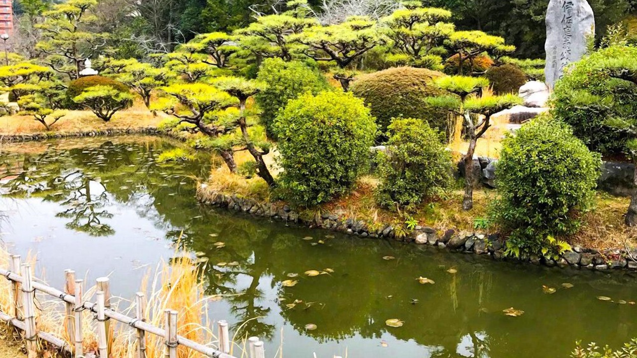 Photo of Outdoor in Matsuyama